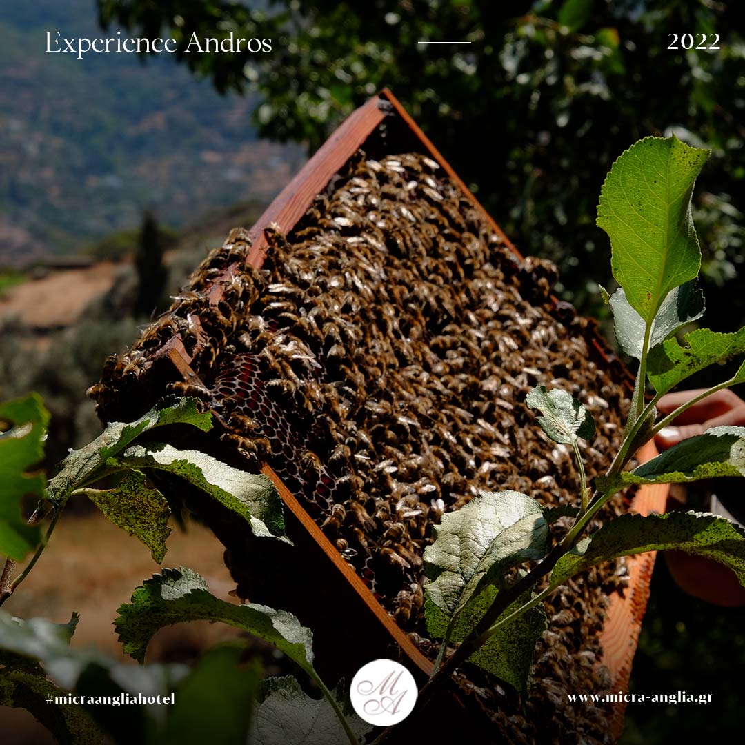 experience12